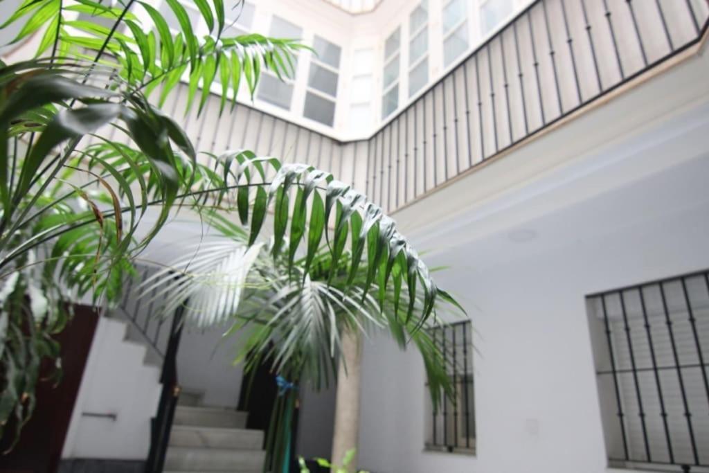 Apartamento Feduchy 10 Min De La Playa 2 Banos Кадис Экстерьер фото
